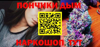 ГАЛЛЮЦИНОГЕННЫЕ ГРИБЫ Кингисепп