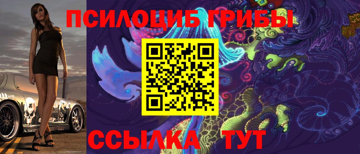 Кувандык  Псилоцибиновые грибы мицелий  Вход с VPN 
