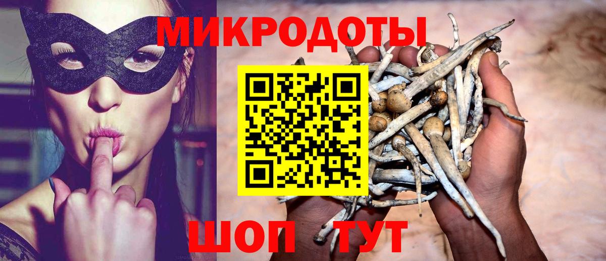 Псилоцибиновые грибы Cubensis Кувандык